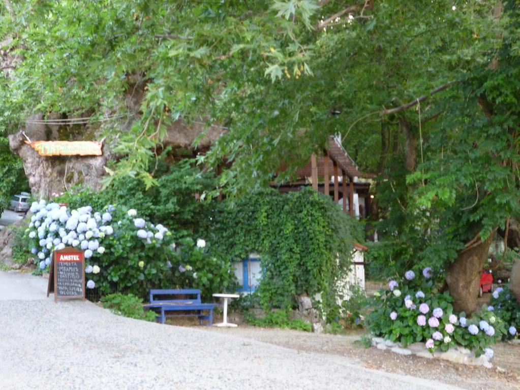 Hotel Galini Samothraki Therma  Exterior foto